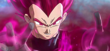 DRAGON BALL XENOVERSE 2 - FUTURE SAGA Chapter 1 DLC NA PC Steam CD Key