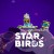 Star Birds PC Steam CD Key