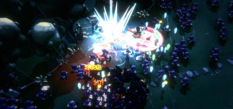 Royal Revolt Survivors PC Steam CD Key