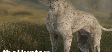 theHunter: Call of the Wild - German Shorthaired Pointer DLC PC Steam CD Key