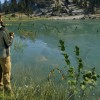 Call of the Wild: The Angler - LakePal Bait Boat Pack DLC PC Steam CD Key