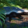 Planet Zoo: Asia Animal Pack DLC PC Steam CD Key