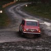 Assetto Corsa Rally PC Steam CD Key