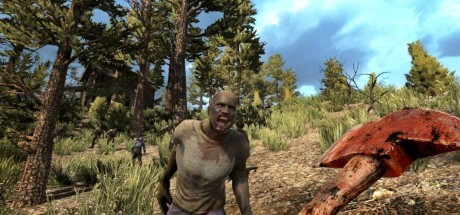 7 Days to Die NA PC Steam CD Key