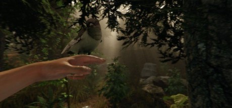 The Forest PC Steam CD Key