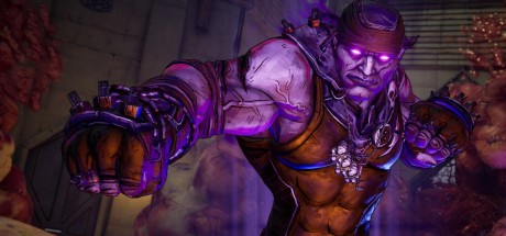 Borderlands 3 - Psycho Krieg and the Fantastic Fustercluck DLC PC Steam CD Key Borderlands 3 - Psycho Krieg and the Fantastic Fustercluck DLC PC Steam CD Key