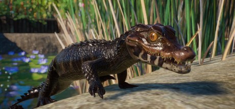 Planet Zoo - Aquatic Pack DLC PC Steam CD Key