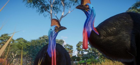 Planet Zoo - Australia Pack DLC EU PC Steam CD Key