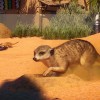 Planet Zoo - Africa Pack DLC PC Steam CD Key