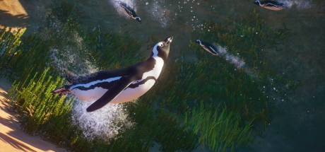 Planet Zoo - Africa Pack DLC PC Steam CD Key