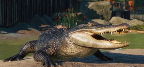 Planet Zoo - North America Animal Pack DLC Steam CD Key