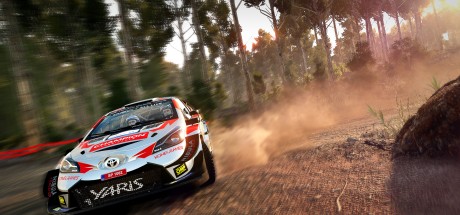 WRC 8 FIA World Rally Championship AR XBOX One CD Key