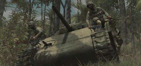 Call of Duty: World at War PC Download CD Key Call of Duty: World at War PC Download CD Key