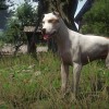 Kingdom Come: Deliverance - A Woman's Lot DLC EU PC Steam CD Key Kingdom Come: Deliverance - A Woman's Lot DLC EU PC Steam CD Key