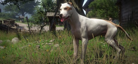 Kingdom Come: Deliverance - A Woman's Lot DLC EU PC Steam CD Key Kingdom Come: Deliverance - A Woman's Lot DLC EU PC Steam CD Key