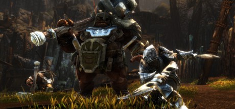 Kingdoms of Amalur: Re-Reckoning EU PC Steam CD Key Kingdoms of Amalur: Re-Reckoning EU PC Steam CD Key