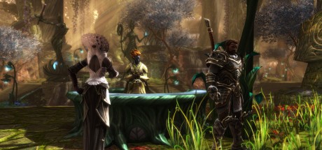 Kingdoms of Amalur: Re-Reckoning EU PC Steam CD Key Kingdoms of Amalur: Re-Reckoning EU PC Steam CD Key