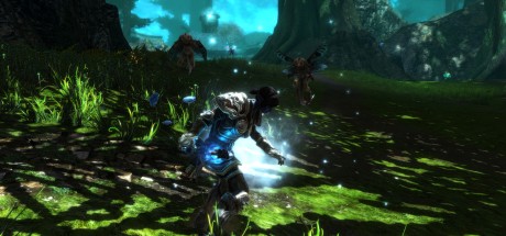 Kingdoms of Amalur: Re-Reckoning EU PC Steam CD Key Kingdoms of Amalur: Re-Reckoning EU PC Steam CD Key