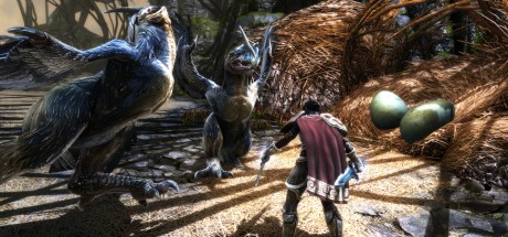 Kingdoms of Amalur: Re-Reckoning EU PC Steam CD Key Kingdoms of Amalur: Re-Reckoning EU PC Steam CD Key