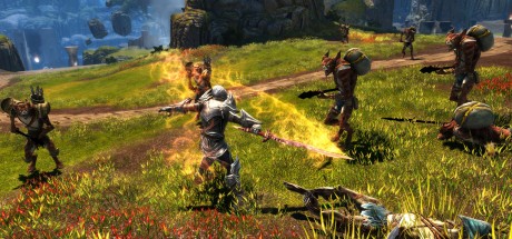 Kingdoms of Amalur: Re-Reckoning EU PC Steam CD Key Kingdoms of Amalur: Re-Reckoning EU PC Steam CD Key