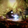 Ori and the Will of the Wisps EU PC Steam CD Key