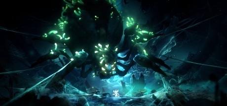 Ori and the Will of the Wisps EU PC Steam CD Key