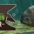 Ultimate Fishing Simulator - Amazon River DLC EU Steam CD Key
