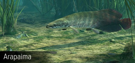 Ultimate Fishing Simulator - Amazon River DLC Steam CD Key Ultimate Fishing Simulator - Amazon River DLC Steam CD Key