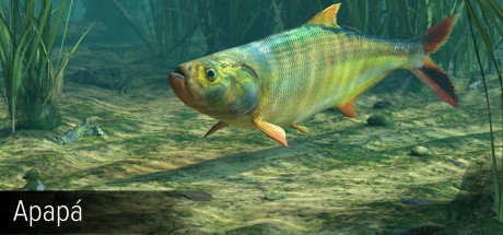 Ultimate Fishing Simulator - Amazon River DLC Steam CD Key Ultimate Fishing Simulator - Amazon River DLC Steam CD Key