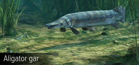 Ultimate Fishing Simulator - Amazon River DLC Steam CD Key Ultimate Fishing Simulator - Amazon River DLC Steam CD Key