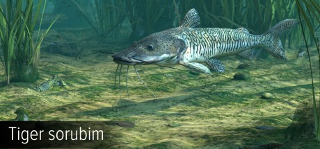 Ultimate Fishing Simulator - Amazon River DLC Steam CD Key Ultimate Fishing Simulator - Amazon River DLC Steam CD Key