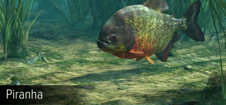 Ultimate Fishing Simulator - Amazon River DLC Steam CD Key Ultimate Fishing Simulator - Amazon River DLC Steam CD Key