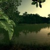 Ultimate Fishing Simulator - Amazon River DLC Steam CD Key