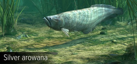 Ultimate Fishing Simulator - Amazon River DLC Steam CD Key Ultimate Fishing Simulator - Amazon River DLC Steam CD Key