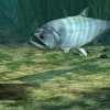 Ultimate Fishing Simulator - Amazon River DLC Steam CD Key