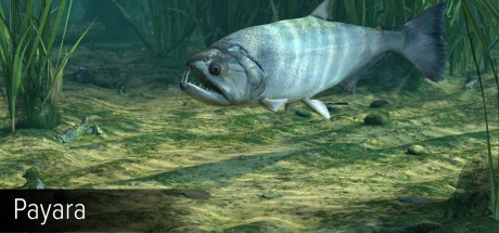 Ultimate Fishing Simulator - Amazon River DLC Steam CD Key Ultimate Fishing Simulator - Amazon River DLC Steam CD Key
