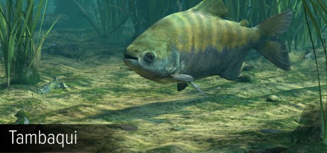 Ultimate Fishing Simulator - Amazon River DLC Steam CD Key Ultimate Fishing Simulator - Amazon River DLC Steam CD Key