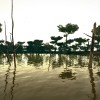 Ultimate Fishing Simulator - Amazon River DLC Steam CD Key