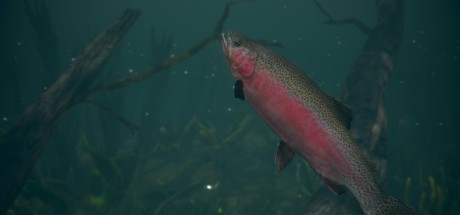 Ultimate Fishing Simulator 2 EU Steam CD Key Ultimate Fishing Simulator 2 EU Steam CD Key