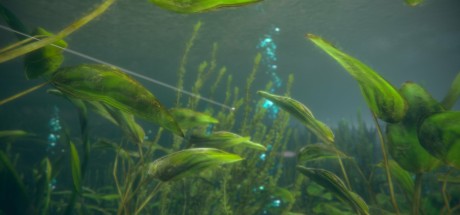 Ultimate Fishing Simulator 2 EU Steam CD Key Ultimate Fishing Simulator 2 EU Steam CD Key