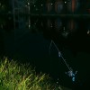 Ultimate Fishing Simulator 2 EU Steam CD Key