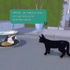 Little Kitty, Big City XBOX One / Xbox Series X|S CD Key Little Kitty, Big City XBOX One / Xbox Series X|S CD Key