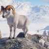 Planet Zoo - Arctic Pack DLC PC Steam CD Key