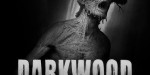 Darkwood Deluxe Edition Steam CD Key