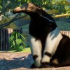 Planet Zoo - South America Pack DLC EU PC Steam CD Key Planet Zoo - South America Pack DLC EU PC Steam CD Key