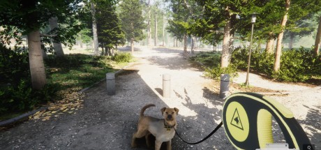 Animal Shelter EU PC Steam CD Key