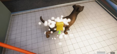 Animal Shelter PC Steam CD Key