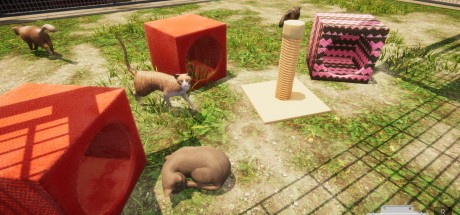 Animal Shelter PC Steam CD Key