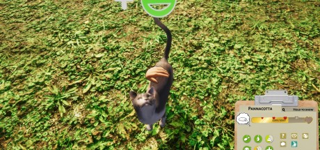 Animal Shelter PC Steam CD Key