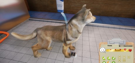 Animal Shelter PC Steam CD Key